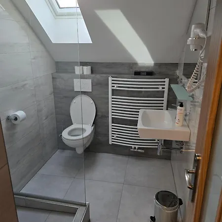 Guest house Penzionu Aurelius U Bednaru Pavlov