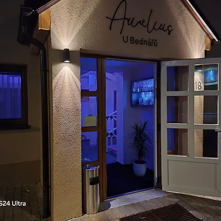 Guest house Penzionu Aurelius U Bednaru Pavlov