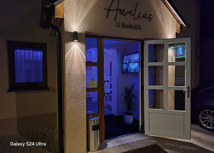 Penzion Penzionu Aurelius U Bednářů Pavlov